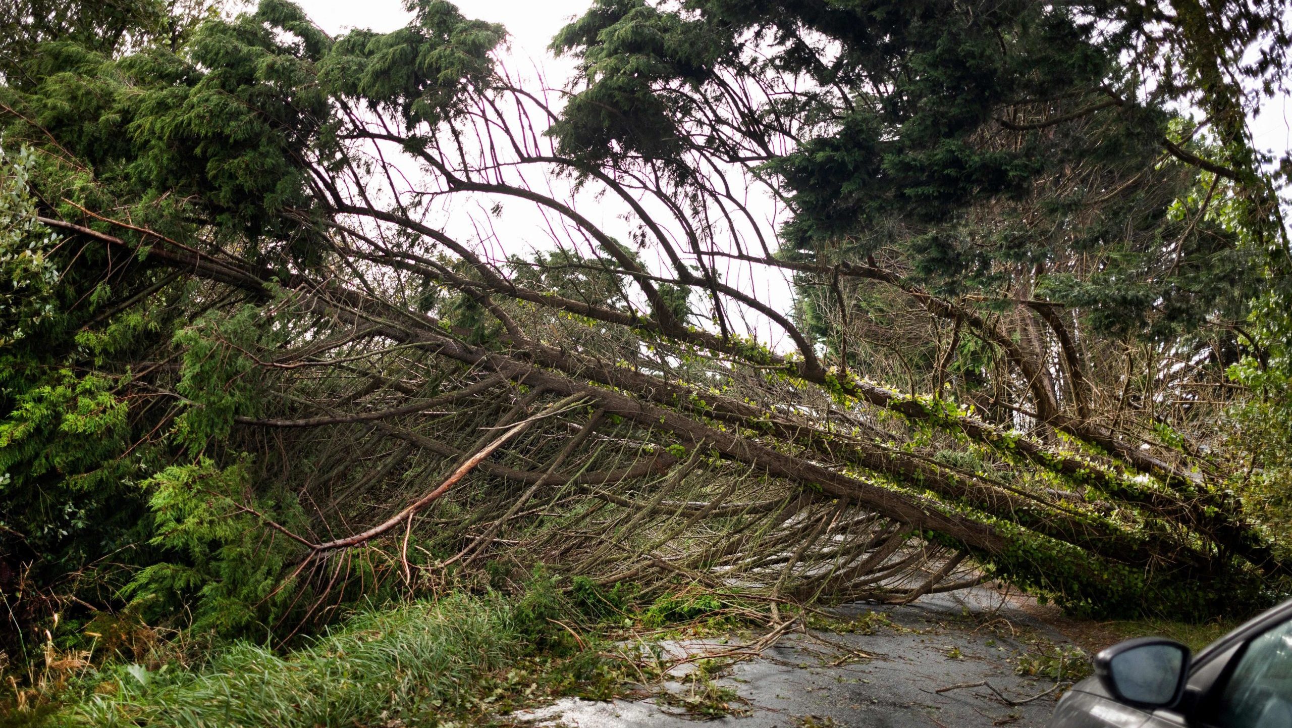 Tempestade Ciaran devasta Reino Unido, França e Espanha. Portugal irá ser também afetado